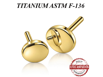Вставка титановая Steel and Silver золотой диск