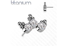 Вставка из титана с кластером кристаллов Вставка из титана с кластером кристаллов